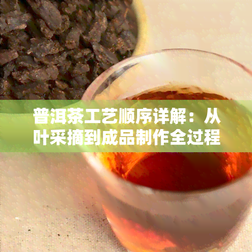 普洱茶工艺顺序详解：从叶采摘到成品制作全过程图解