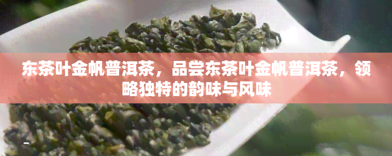 东茶叶金帆普洱茶，品尝东茶叶金帆普洱茶，领略独特的韵味与风味