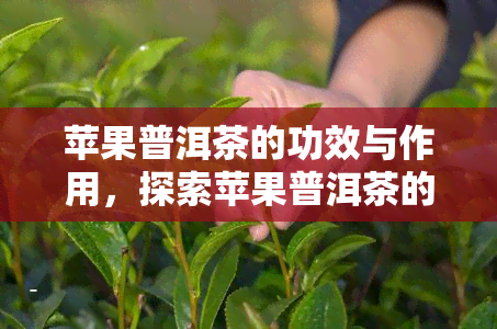 苹果普洱茶的功效与作用，探索苹果普洱茶的神奇功效与作用