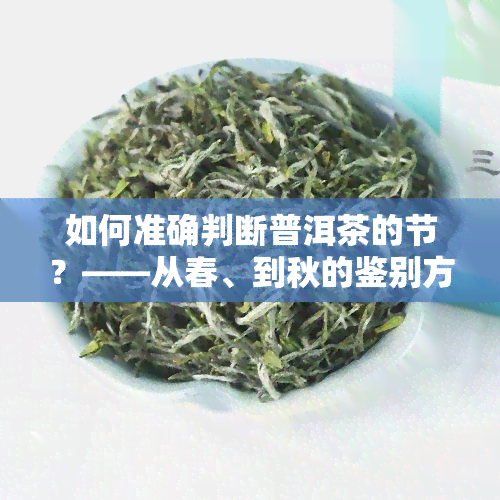 如何准确判断普洱茶的节？——从春、到秋的鉴别方法