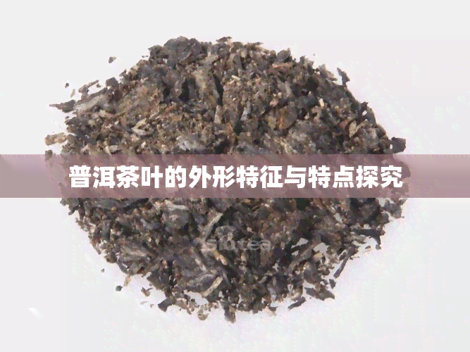 普洱茶叶的外形特征与特点探究