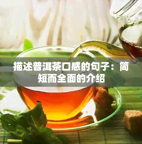 描述普洱茶口感的句子：简短而全面的介绍