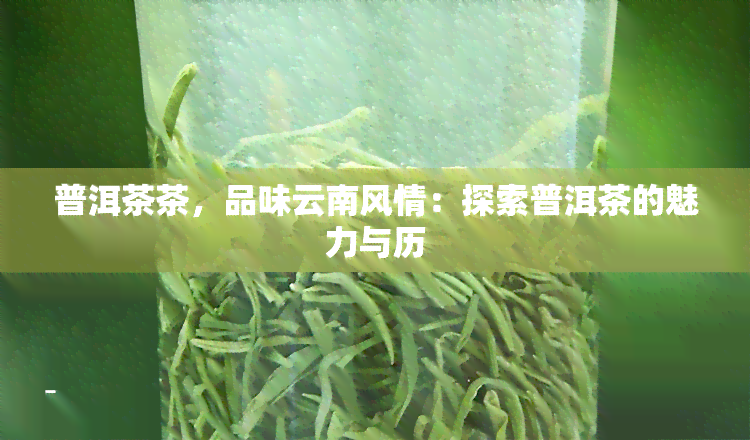 普洱茶茶，品味云南风情：探索普洱茶的魅力与历