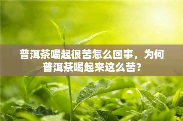 普洱茶喝起很苦怎么回事，为何普洱茶喝起来这么苦？