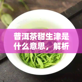 普洱茶甜生津是什么意思，解析普洱茶的甜生津：理解这种独特口感的背后含义