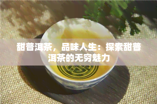 甜普洱茶，品味人生：探索甜普洱茶的无穷魅力