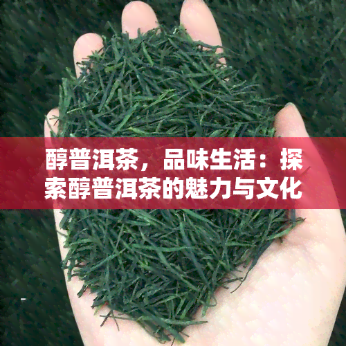 醇普洱茶，品味生活：探索醇普洱茶的魅力与文化