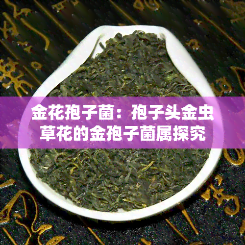 金花孢子菌：孢子头金虫草花的金孢子菌属探究