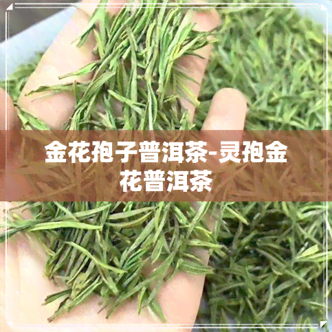 金花孢子普洱茶-灵孢金花普洱茶