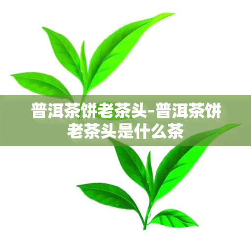 普洱茶饼老茶头-普洱茶饼老茶头是什么茶