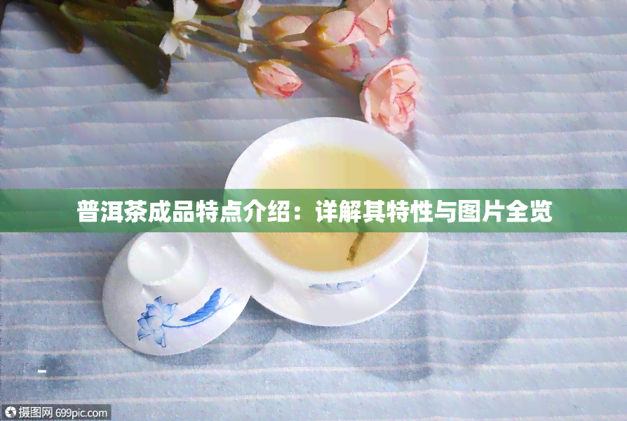 普洱茶成品特点介绍：详解其特性与图片全览