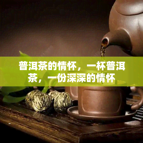 普洱茶的情怀，一杯普洱茶，一份深深的情怀