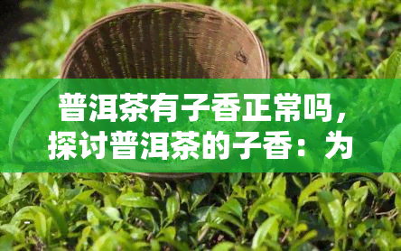 普洱茶有子香正常吗，探讨普洱茶的子香：为何会出现这种独特的香气？