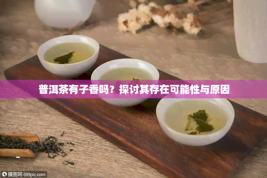 普洱茶有子香吗？探讨其存在可能性与原因