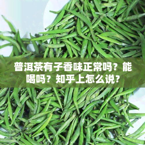 普洱茶有子香味正常吗？能喝吗？知乎上怎么说？