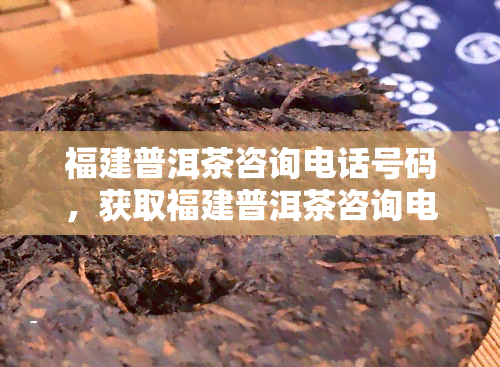 福建普洱茶咨询电话号码，获取福建普洱茶咨询电话号码的简易方法