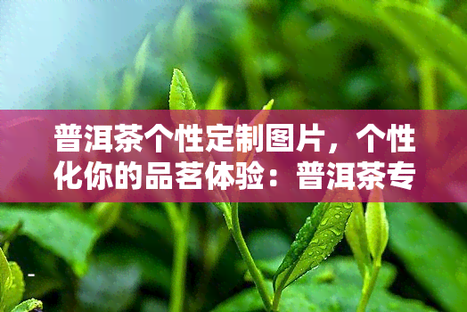 普洱茶个性定制图片，个性化你的品茗体验：普洱茶专属定制图片