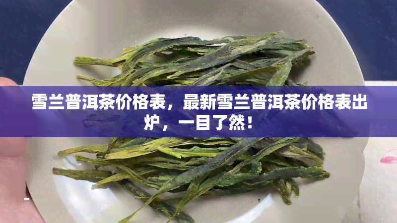 雪兰普洱茶价格表，最新雪兰普洱茶价格表出炉，一目了然！