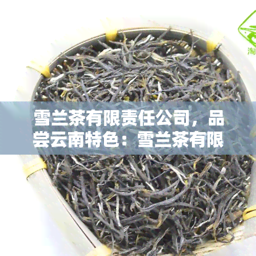 雪兰茶有限责任公司，品尝云南特色：雪兰茶有限责任公司的优质茶叶