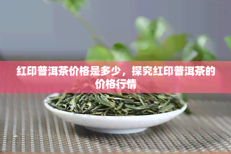 红印普洱茶价格是多少，探究红印普洱茶的价格行情