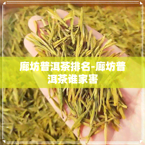 廊坊普洱茶排名-廊坊普洱茶谁家害