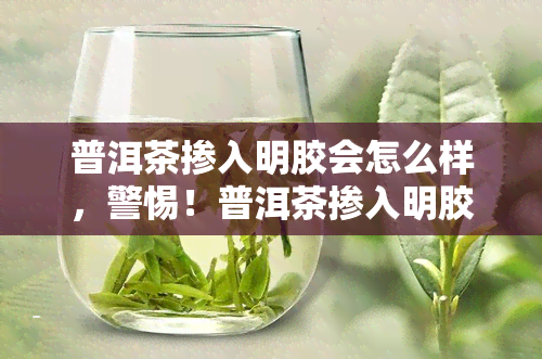 普洱茶掺入明胶会怎么样，警惕！普洱茶掺入明胶的危害