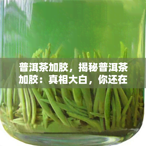 普洱茶加胶，揭秘普洱茶加胶：真相大白，你还在喝吗？