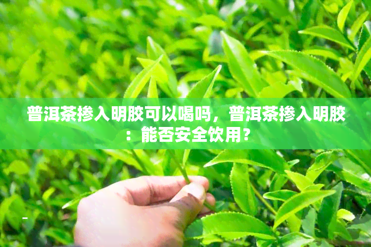 普洱茶掺入明胶可以喝吗，普洱茶掺入明胶：能否安全饮用？