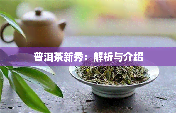 普洱茶新秀：解析与介绍