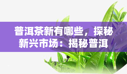 普洱茶新有哪些，探秘新兴市场：揭秘普洱茶新的崛起与特点