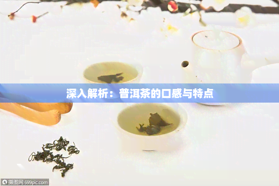 深入解析：普洱茶的口感与特点