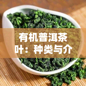 有机普洱茶叶：种类与介绍