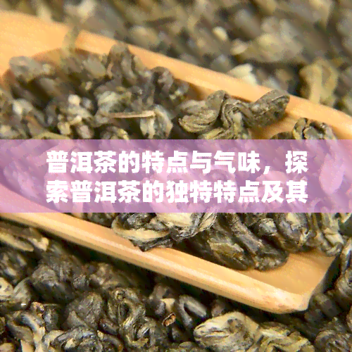 普洱茶的特点与气味，探索普洱茶的独特特点及其迷人香气