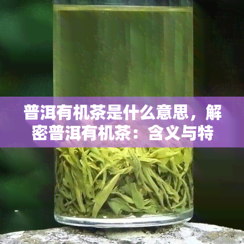 普洱有机茶是什么意思，解密普洱有机茶：含义与特点