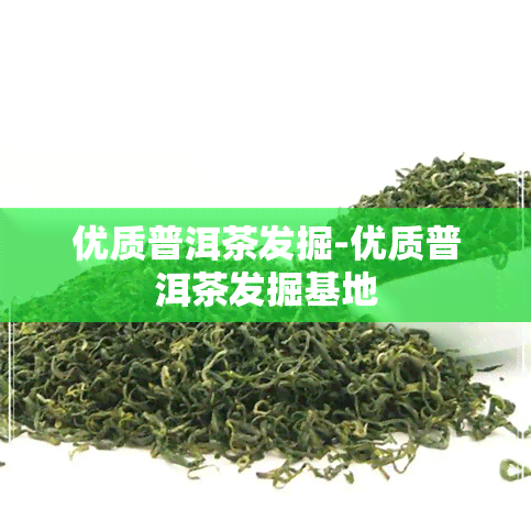 优质普洱茶发掘-优质普洱茶发掘基地