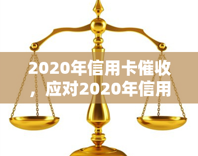 2020年信用卡，应对2020年信用卡：策略与建议