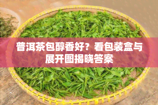 普洱茶包醇香好？看包装盒与展开图揭晓答案