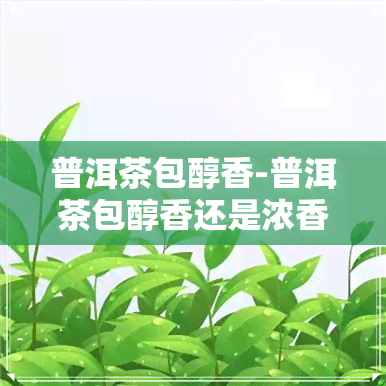 普洱茶包醇香-普洱茶包醇香还是浓香