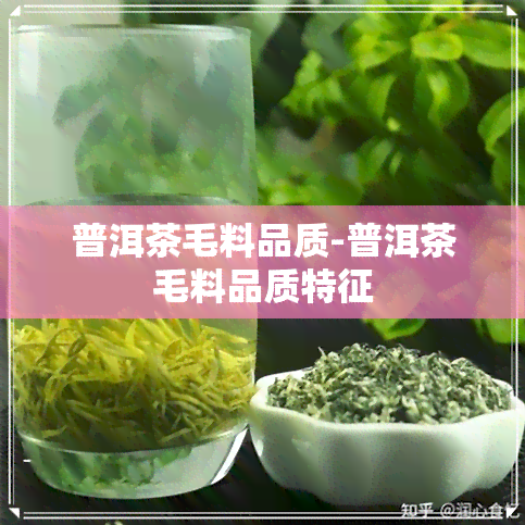 普洱茶毛料品质-普洱茶毛料品质特征