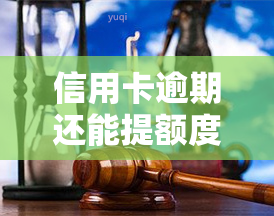 信用卡逾期还能提额度吗，信用卡逾期后还有机会提高额度吗？