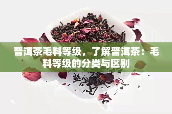 普洱茶毛料等级，了解普洱茶：毛料等级的分类与区别