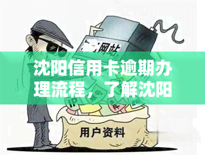 沈阳信用卡逾期办理流程，了解沈阳信用卡逾期处理流程，避免信用记录受损