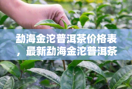 勐海金沱普洱茶价格表，最新勐海金沱普洱茶市场价格一览表