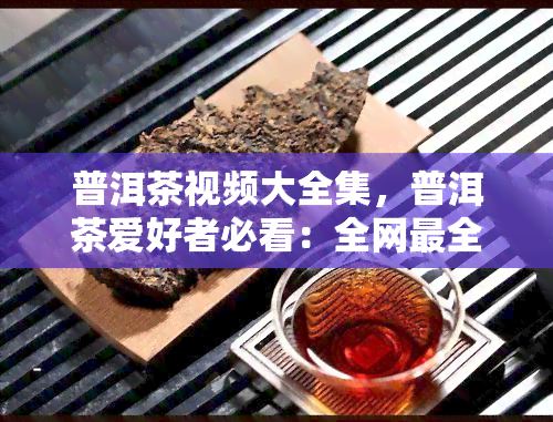 普洱茶视频大全集，普洱茶爱好者必看：全网最全的普洱茶视频大全集！