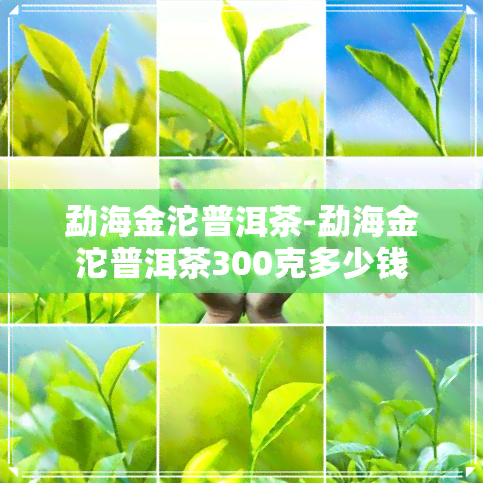 勐海金沱普洱茶-勐海金沱普洱茶300克多少钱