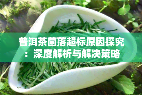 普洱茶菌落超标原因探究：深度解析与解决策略