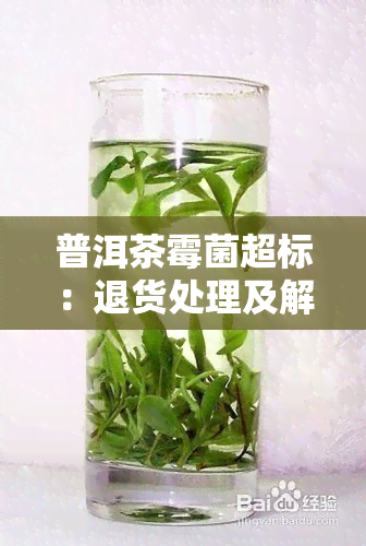 普洱茶霉菌超标：退货处理及解决办法