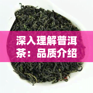 深入理解普洱茶：品质介绍文案与文