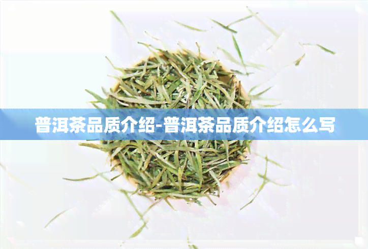 普洱茶品质介绍-普洱茶品质介绍怎么写