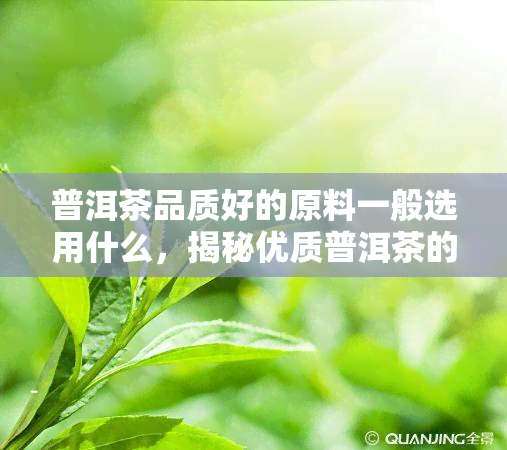 普洱茶品质好的原料一般选用什么，揭秘优质普洱茶的原料选择